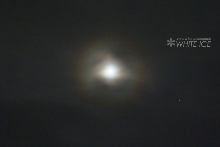 金星光環